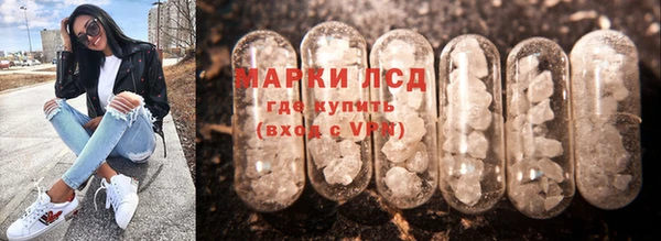 ПСИЛОЦИБИНОВЫЕ ГРИБЫ Белокуриха
