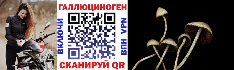 Галлюциногенные грибы ЛСД  Дмитровск 